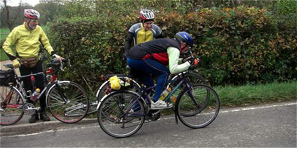 freewheeling_2011_02