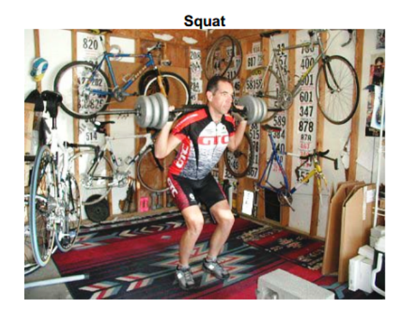 Wt Squat
