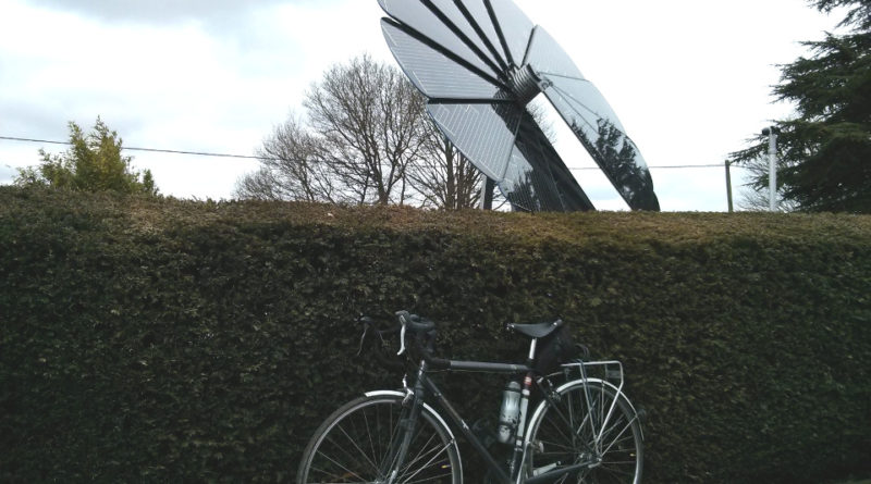 Sunflower @ Coolings Garden Centre, Knockholt